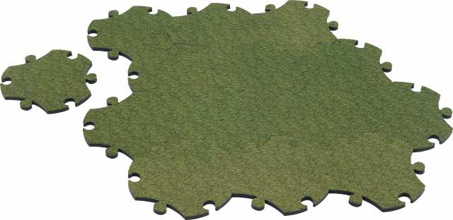Puzzle Carpet