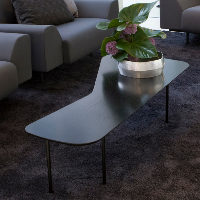 Alexander Girard Coffee Table