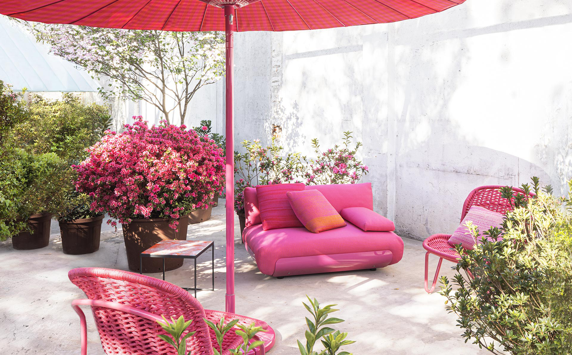 Oasi Armchair